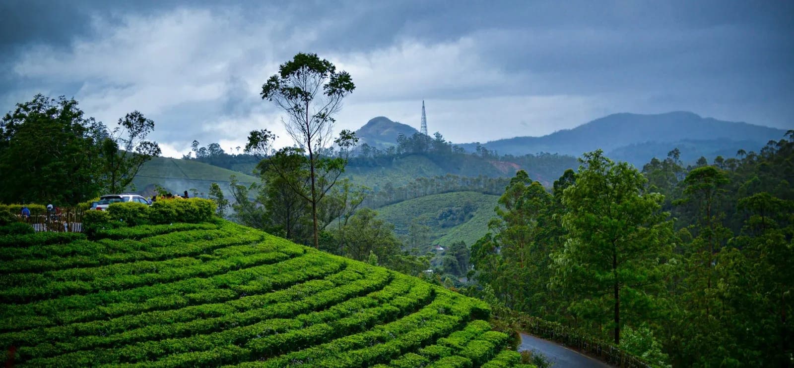 Wayanad